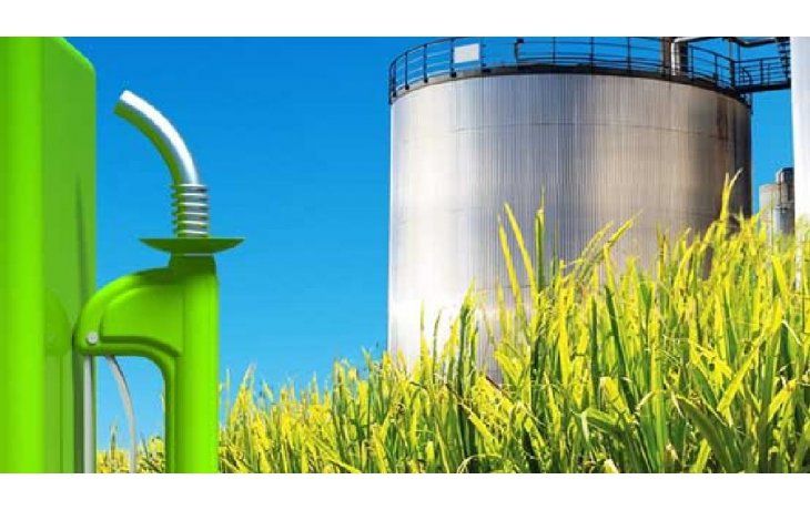 ámbito.com | Capacidad ociosa también para los biocombustibles