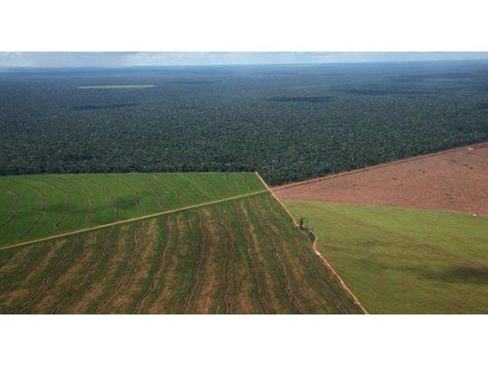 Gobierno cambió la Ley de Tierras y flexibilizó venta de campos a extranjeros