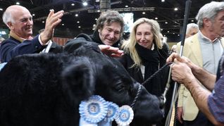 Javier Milei en La Rural.&nbsp;