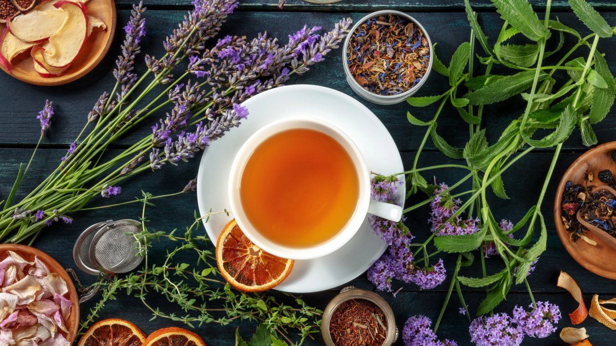 Do you need to recover fast? These infusions are ideal for recharging energy this winter 2025
