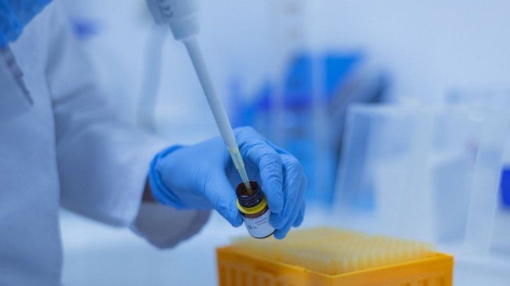 La empresa operaba sin director técnico, una exigencia clave para laboratorios habilitados. La empresa operaba sin director técnico, una exigencia clave para laboratorios habilitados. 