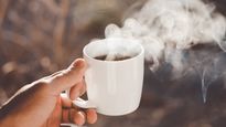 La nueva tendencia de agregar champiñones al café se debe a sus propiedades únicas que no solo mejoran el sabor, sino también aportan beneficios significativos para la salud.
