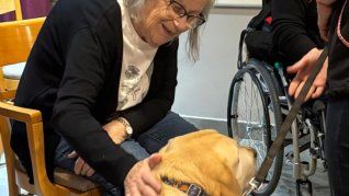 El contacto con perros entrenados favorece la socialización, reduce el estrés y mejora el estado de ánimo de los adultos mayores. El contacto con perros entrenados favorece la socialización, reduce el estrés y mejora el estado de ánimo de los adultos mayores.