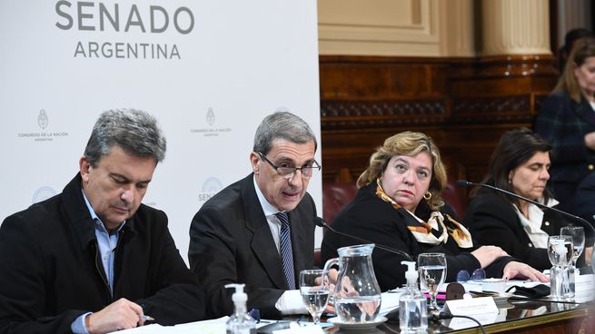 Senado Construcción.JPG