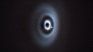 The discovery of Wispit 2B is part of an observational project of young stars. The discovery of Wispit 2B is part of an observational project of young stars.