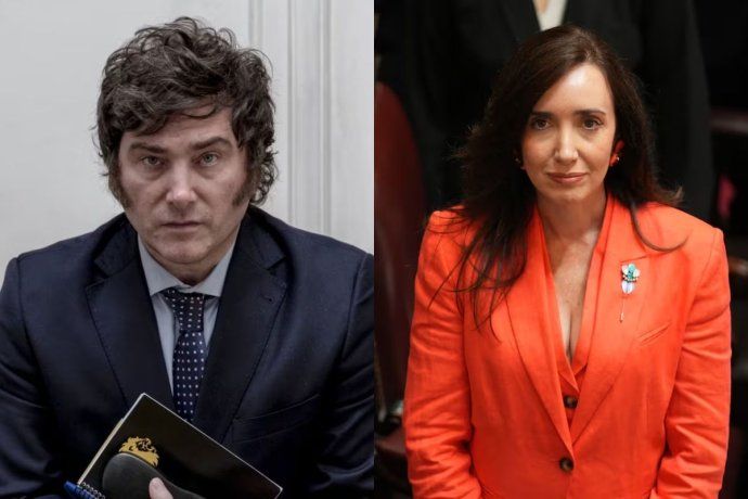 Los incendios: una nueva excusa para la interna entre Milei y Villarruel. Los incendios: una nueva excusa para la interna entre Milei y Villarruel.