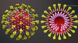 Los muertos por coronavirus en China ascienden a 536.