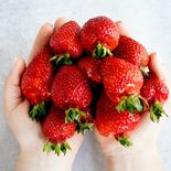 El truco para conservar las frutillas en la heladera sin que se echen a perder. El truco para conservar las frutillas en la heladera sin que se echen a perder.
