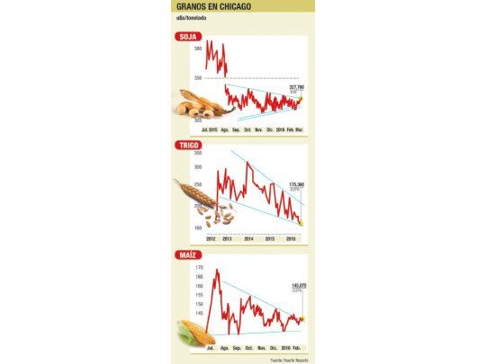 Trigo: mejora la demanda local