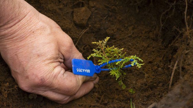 Bosques Nativos Argentinos realiza un enorme trabajo paraimpulsar acciones que permitan unir las partes, tanto del sector privado, comoel académico y de gobiernos para transitar un camino hacia modelos de mayorsustentabilidad.&nbsp;