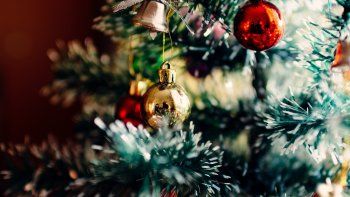 navidad: por que se arma el arbol cada 8 de diciembre