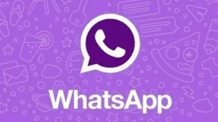 Cómo descargar el APK WhatsApp App Plus Morado: la última versión de julio 2024