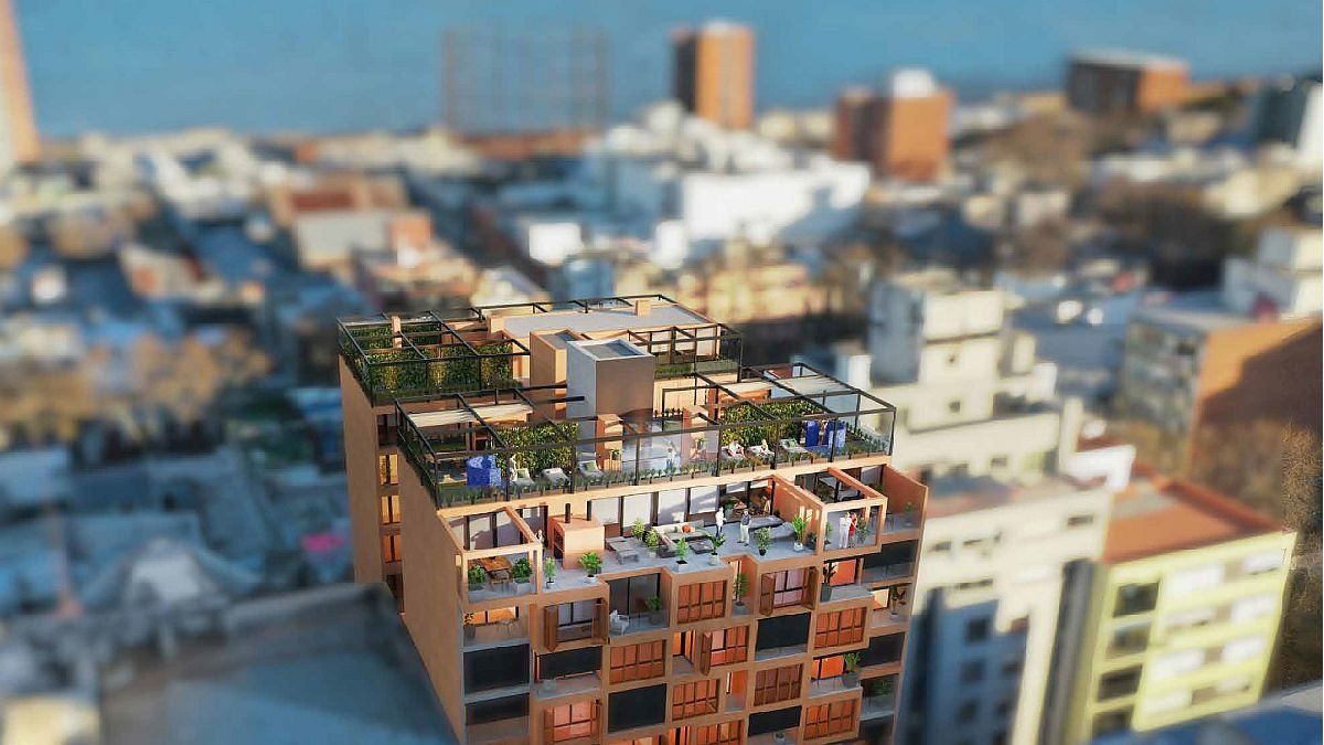 Real estate x-rays: It is the most requested neighborhood in the city