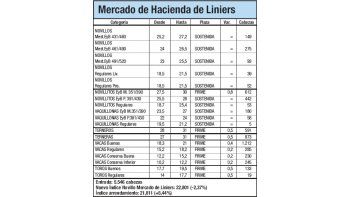 Mercado de Liniers: Novillo cayó 2,37%