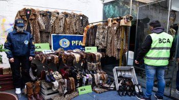 Local de Recoleta comercializaba pieles de animales silvestres.&nbsp;