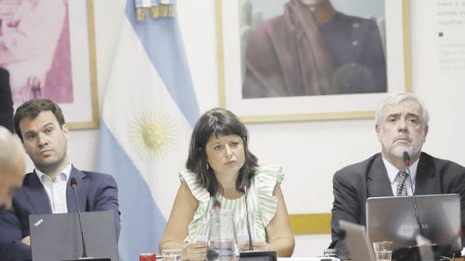 tensión. La titular de la Comisión de Juicio Político de Diputados, la oficialista Carolina Gaillard, no dio chances a la hora de discriminar los pedidos de Juicio Político y aglutinó al espectro antikirchnerista. El jefe del radicalismo, Mario Negri, dio una de las argumentaciones más fuertes. También lo hizo el titular del interbloque federal, Alejandro “Topo” Rodríguez.