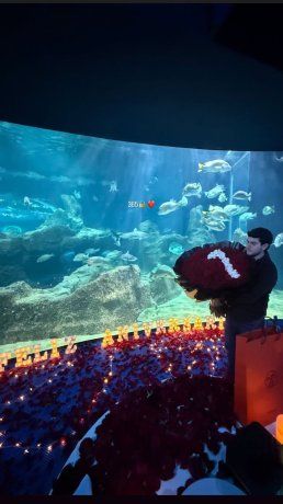 Emily Cinnamon Álvarez y Jaziel Avilez han vivido su primer año de noviazgo, Su novio la sorprendió al rentar la sala de un acuario especialmente para ellos, con el fin de que pudieran pasar tiempo a solas y compartir una cena romántica. Emily Cinnamon Álvarez y Jaziel Avilez han vivido su primer año de noviazgo, Su novio la sorprendió al rentar la sala de un acuario especialmente para ellos, con el fin de que pudieran pasar tiempo a solas y compartir una cena romántica.