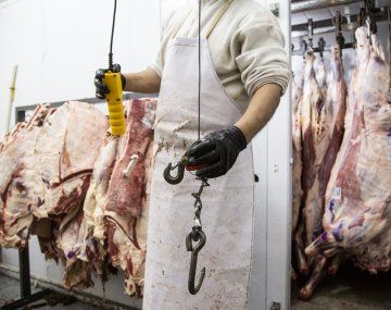 El Gobierno flexibilizaría las exportaciones de carne vacuna