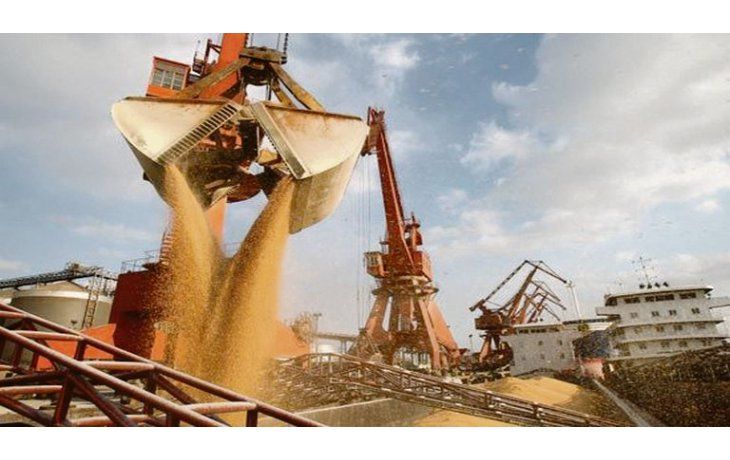 Mercado futuro. De la campaña 2017/2018 ya se registraron compras por 2,5 millones de toneladas de soja.