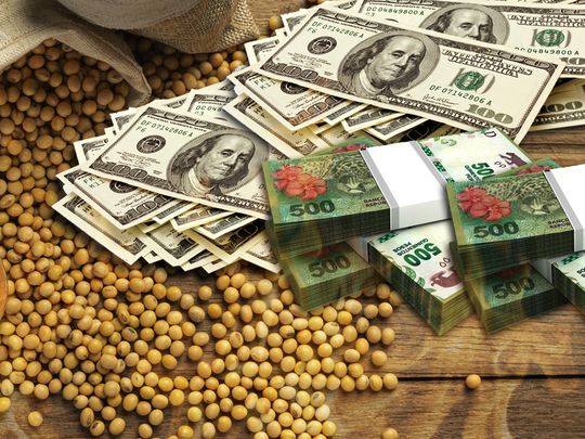 Liquidación de divisas del agro no despega y en enero aportaría apenas u$s1.000 millones