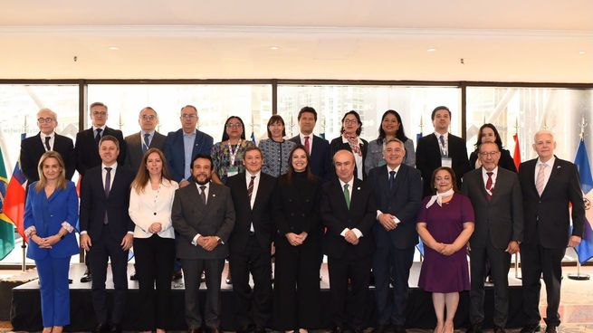 Desde 2018, Delich ha ejercido como secretario general adjunto de la OEI.