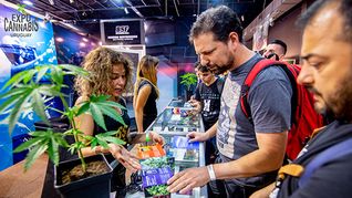 Uruguay: más de 160 empresas se reúnen para vender desde gin a cosméticos con cannabis