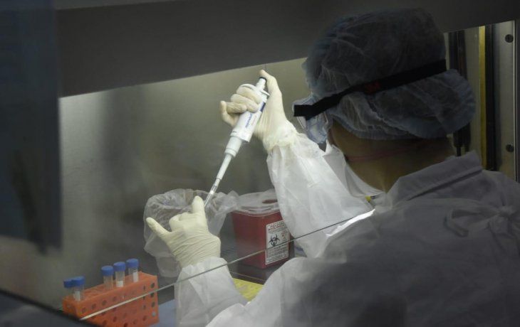 Registraron once nuevos casos de coronavirus en el país