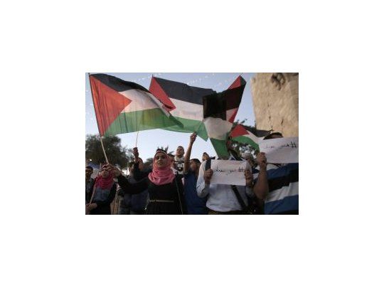 El Estado palestino reclama que se investiguen crímenes de guerra en gAza y la colonización en Cisjordania.