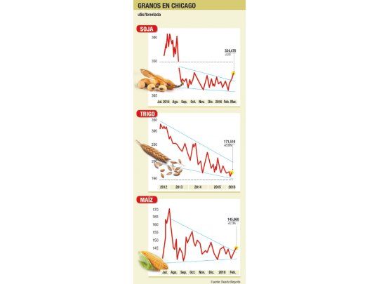 Elevada demanda para la soja