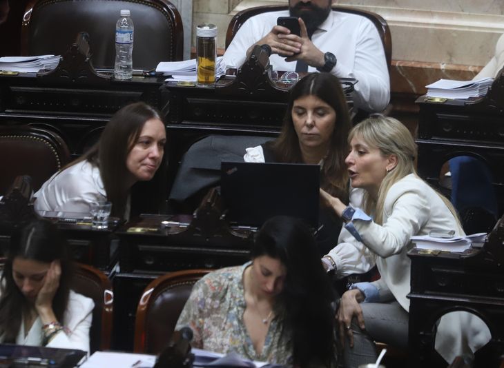 Diputadas del PRO en el Congreso.