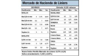 Lluvias influyen en ingreso de animales al mercado