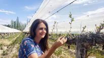 ámbito.com | MARIA GABRIELA LIZANA EN LA VIÑA