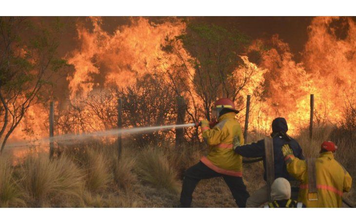 Incendios forestales: cambio climático y accionar negligente del ser humano