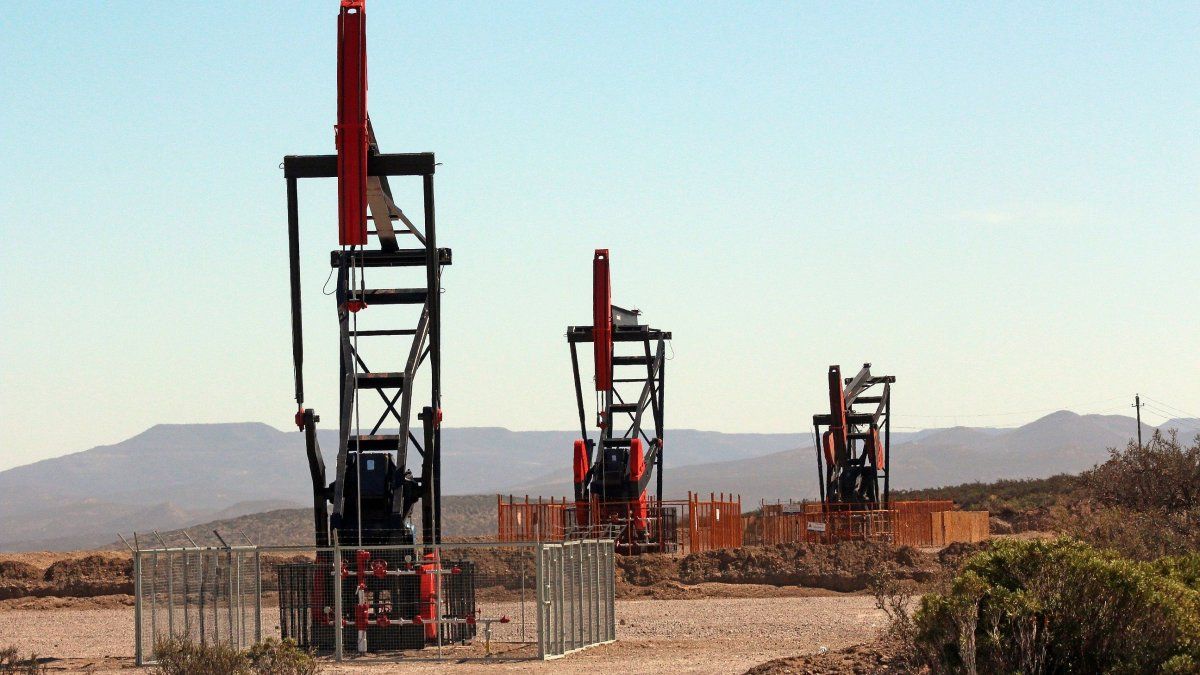 Petom assumed ownership as an operator of 50% of the Central Camp concession – Lost Cañadón