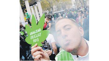 ámbito.com | El Frente Amplio uruguayo pretende imponer una política de drogas sin precedentes: no sólo apunta a despenalizar el consumo de marihuana, sino que busca que el Estado la produzca y la comercialice. El plan, por ahora, genera resistencias.