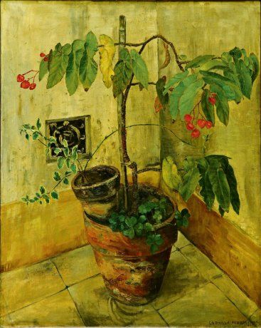 maceta en la terraza. De la artista plástica Ludmila Fioravanti, que integra la exposición en el Quinquela. maceta en la terraza. De la artista plástica Ludmila Fioravanti, que integra la exposición en el Quinquela.