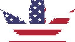 El cannabis, el gran ganador de la semana.