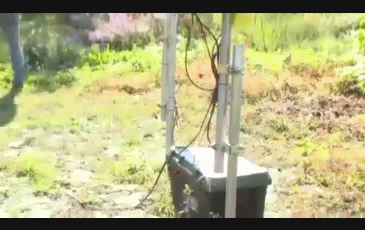 Los robots tienen unas dimensiones de 120 centímetros de largo y 90 centímetros de alto, y están recubiertos de un material muy similar al pelo de estos animales.