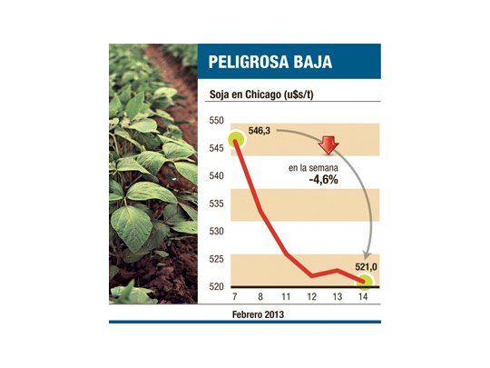 Soja cayó 4,6% en una semana (precio no incentiva ventas)
