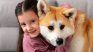 World Dog Day is commemorated every July 21 at the WHO initiative. World Dog Day is commemorated every July 21 at the WHO initiative.