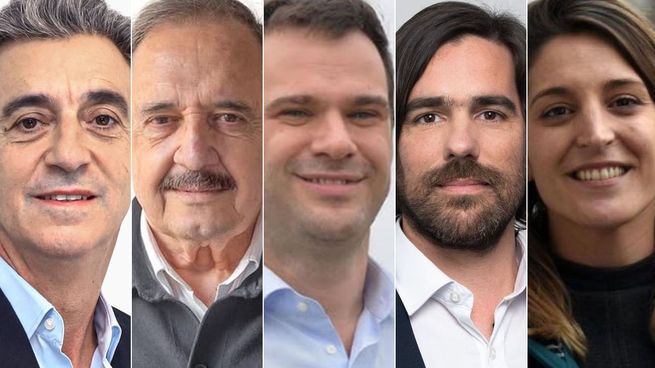 Florencio Randazzo, Ricardo Alfonsín, Juan Manuel López, Nicolás Del Caño y Manuela Castañeira.&nbsp;
