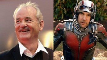 bill murray se une a marvel: sera parte de la nueva cinta de ant-man