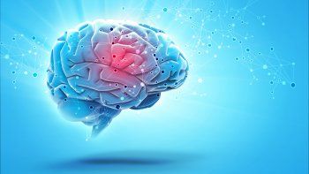 Cerebro.