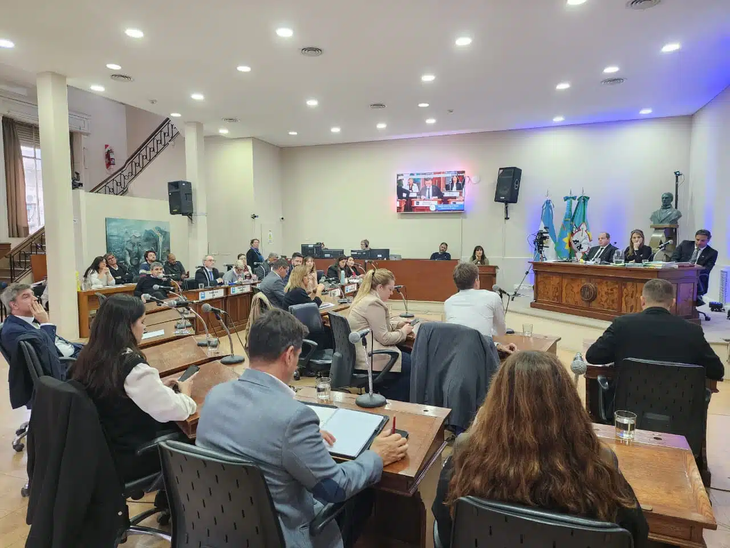 La ausencia de concejales libertarios hizo posible el aumento del boleto urbano en Bahía Blanca. La ausencia de concejales libertarios hizo posible el aumento del boleto urbano en Bahía Blanca.