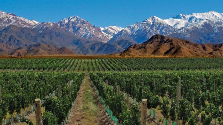 La ruta del vino es un recorrido obligado en la provincia de Mendoza.