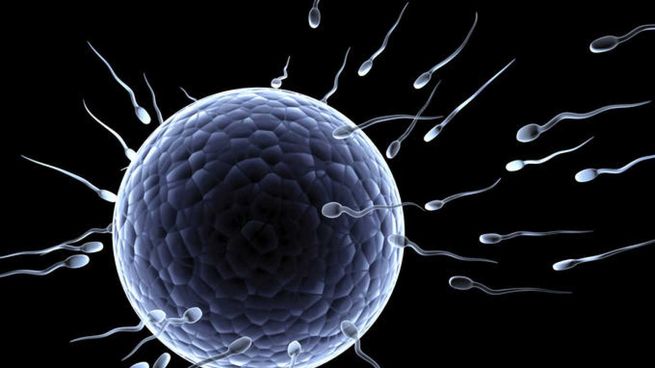 fertilidad.jfif