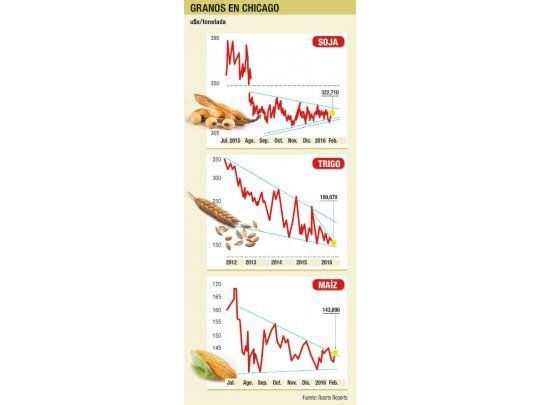 Alzas en soja y maíz; bajas en trigo