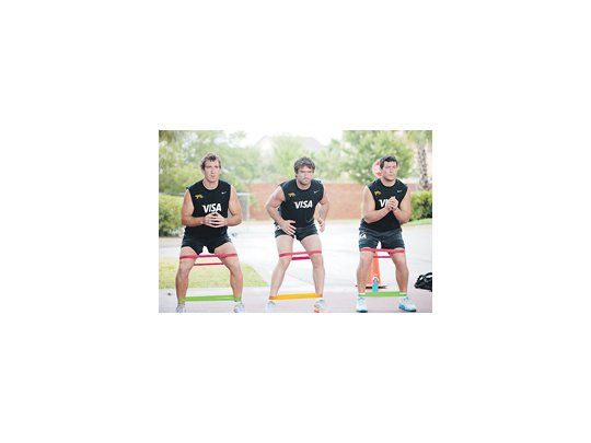 Los Pumas.