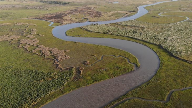 Algunos sectores del campo ya están desarrollando inversiones importantes para mejorar la eficiencia Algunos sectores del campo ya están desarrollando inversiones importantes para mejorar la eficiencia