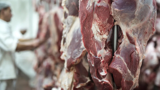 La posible concentración del mercado de la faena tiene en vilo al agro.
